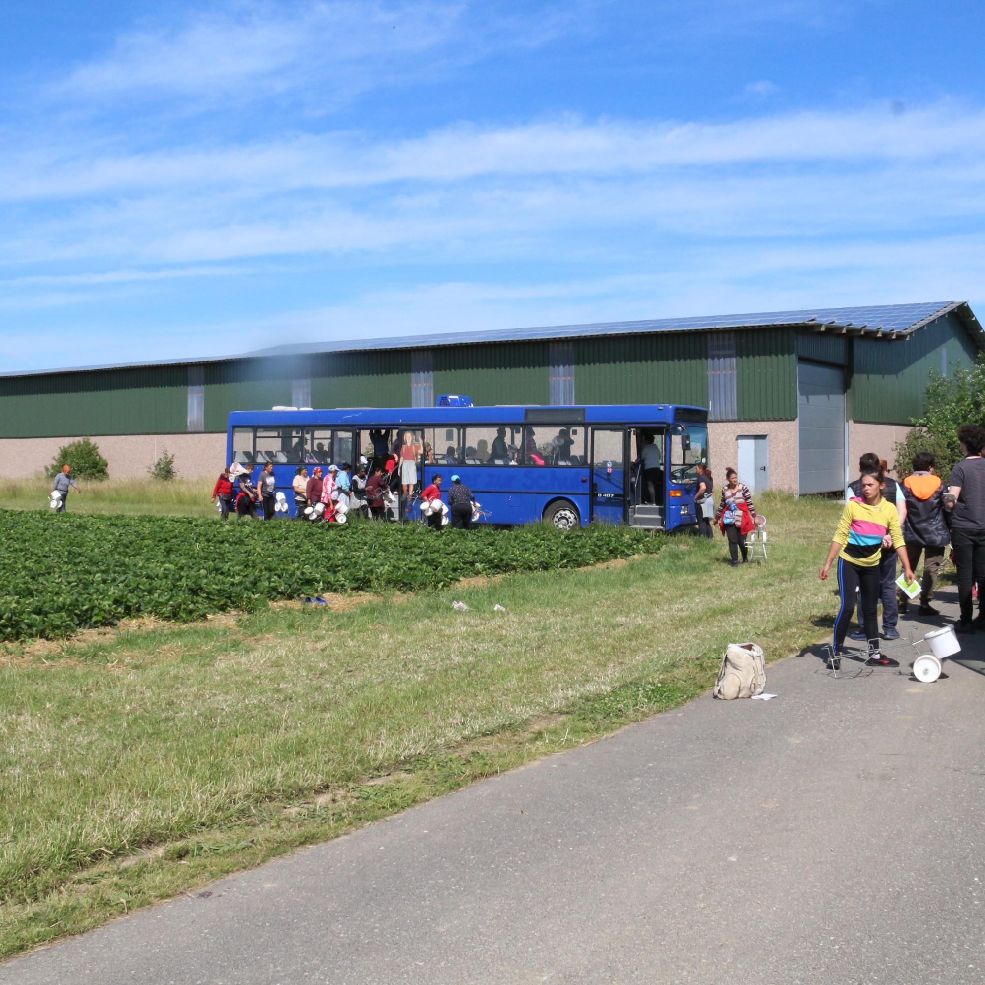 Projekt Transit im Gespräch mit Erntearbeiter:innen im Kreis Heinsberg